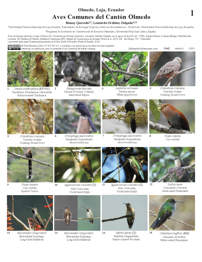  1342_ecuador_aves_de_olmedo.pdf