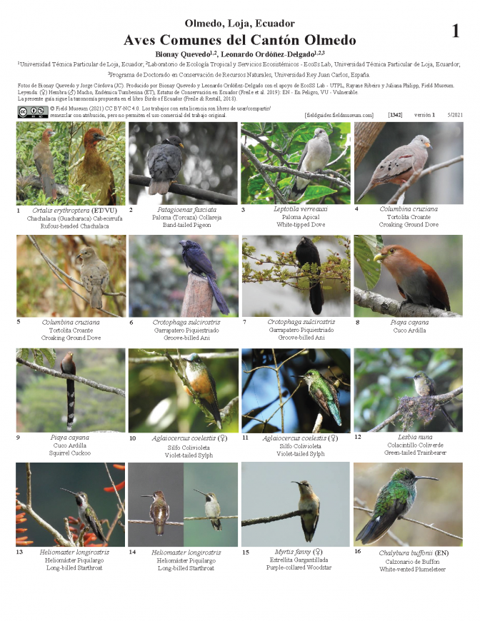 1342_ecuador_aves_de_olmedo.pdf 