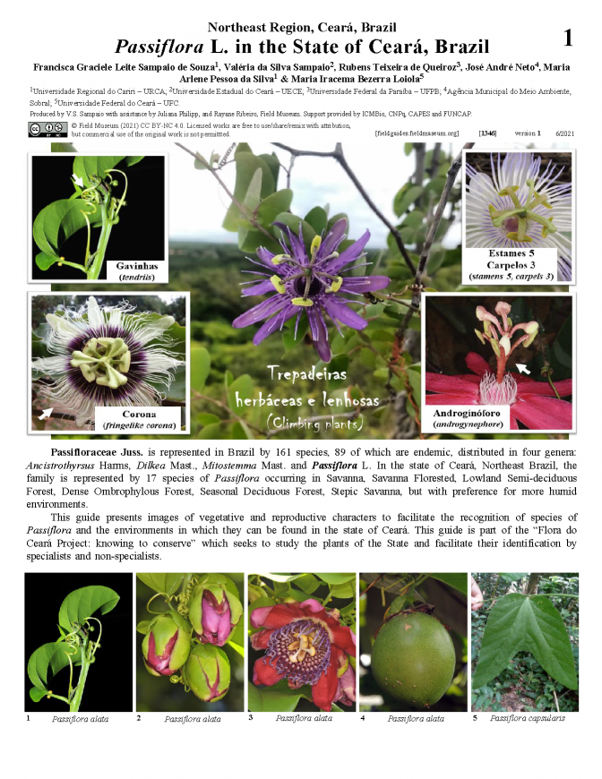1346_brazil_passifloraceae_of_ceara_en.pdf 