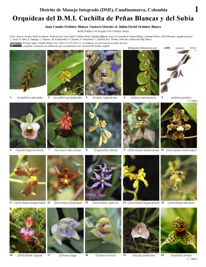 1355_colombia_orquideas_del_cuchilla_de_penas_blancas_del_subia.pdf 