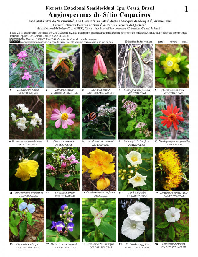 1359_brazil_angiospermas_do_sitio_coqueiros_ceara.pdf