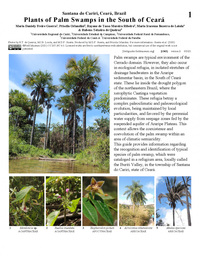 1363_brazil_plants_of_palm_swamps_ceara_en.pdf 
