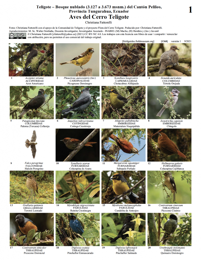 1368_ecuador_aves_del_cerro_teligote.pdf