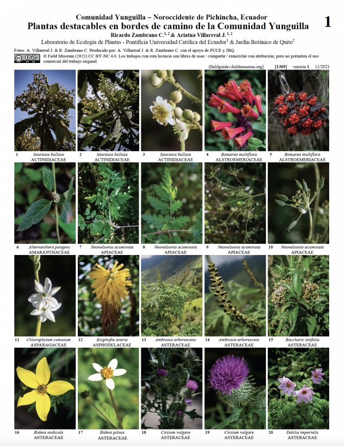 1369_ecuador_plantas_comunidad_yunguilla.pdf