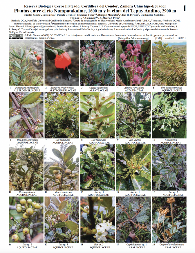 1370_ecuador_plantas_rio_numpatakaime_cerroplateado_cordilleradelcondor_zamorachinchipe.pdf