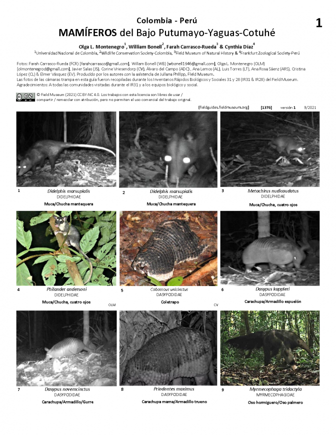 1376_colombia_peru_mammals_of_lower_putumayo.pdf 
