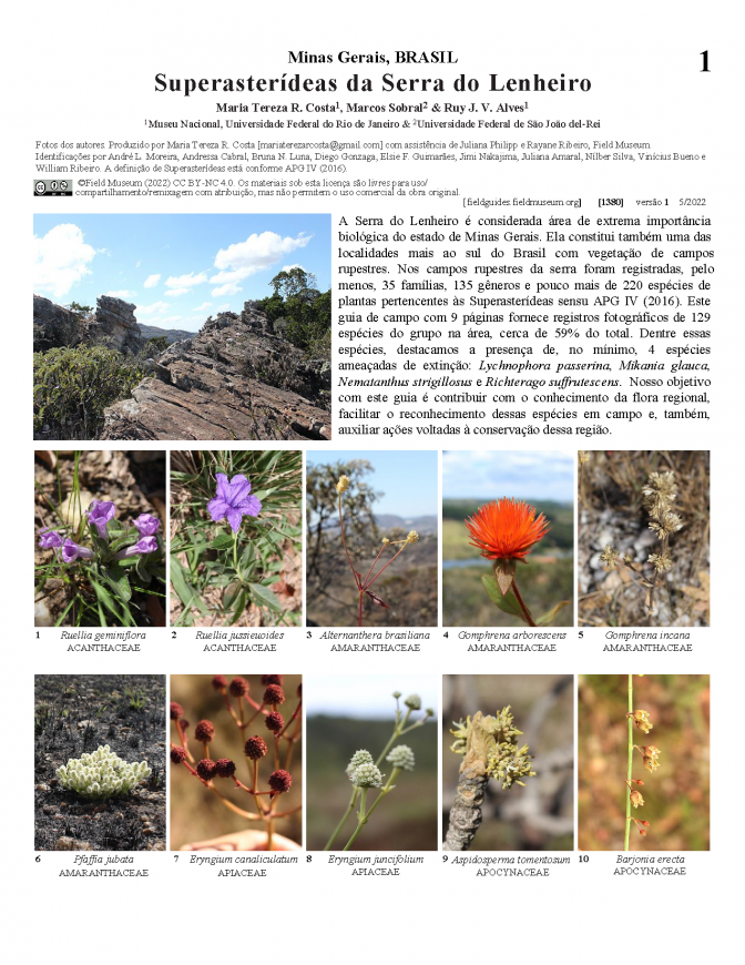 1380_brazil_superasterideas_da_serra_do_lenheiro.pdf