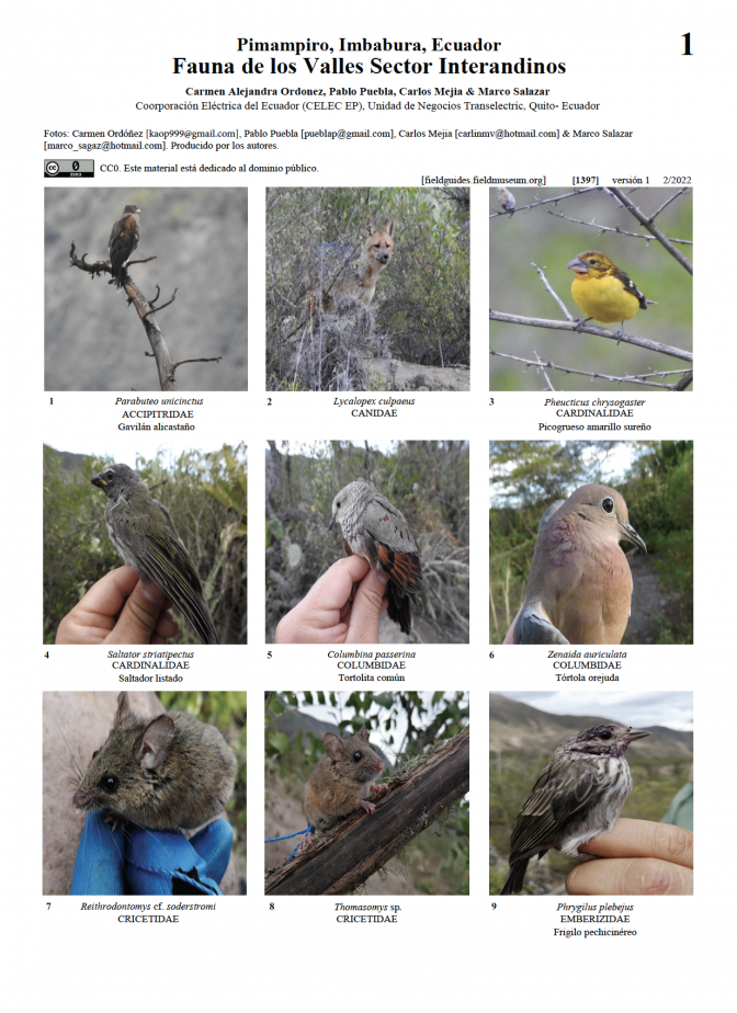 1397_ecuador_fauna_vallessecos.pdf 
