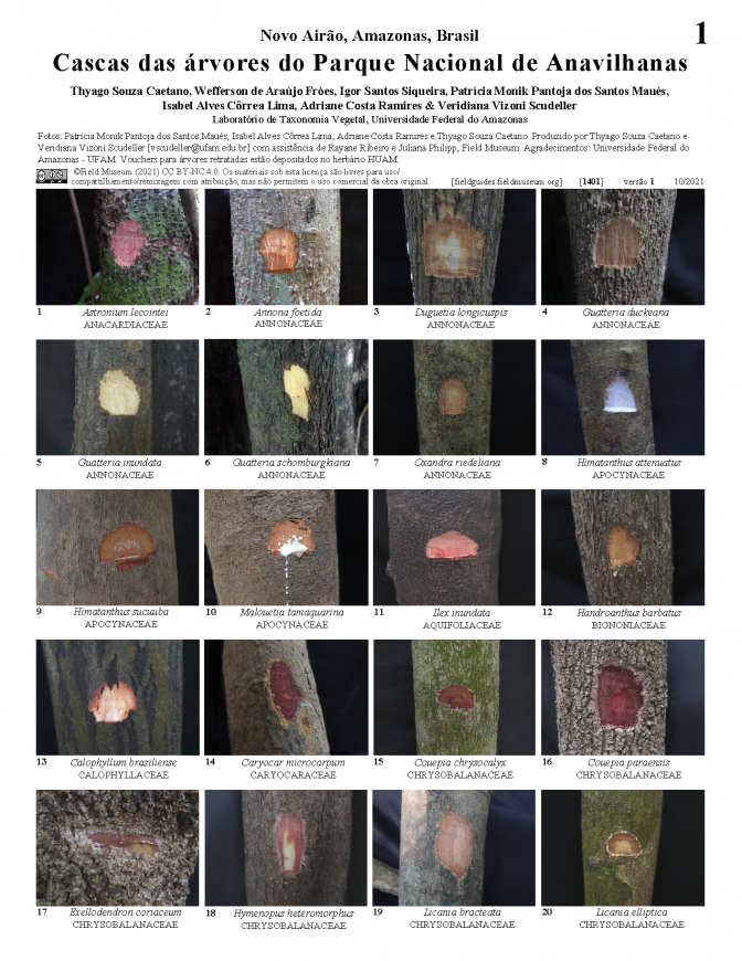 1401_brazil_tree_barks_of_anavilhanas_park.pdf 