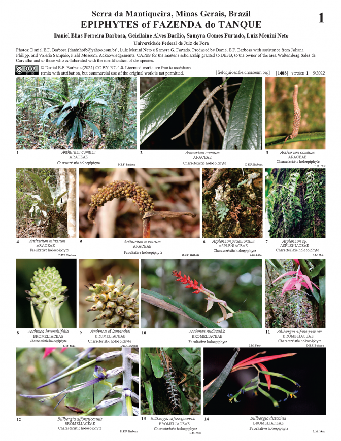 1408_brazil_epiphytes_of_fazenda_do_tanque.pdf 