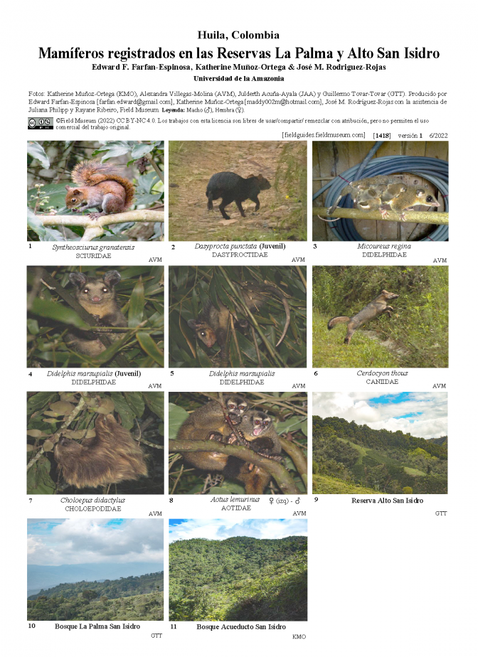  1418_colombia_mammals_registered_in_the_la_palma_and_alto_san_isidro_reserves.pdf 