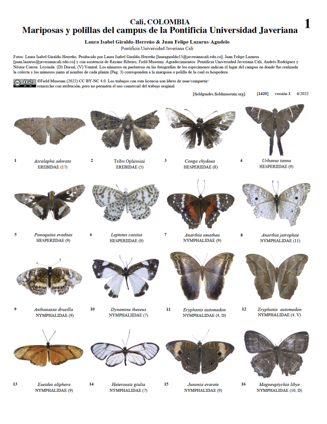 1420_colombia_mariposas_polillas_campus_pontificia_universidad_javeriana.pdf