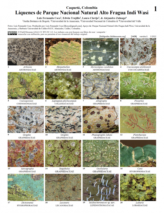 1428_colombia_caqueta_liquenes_parque_nacionalnatural_altofraguaindiwasi.pdf 