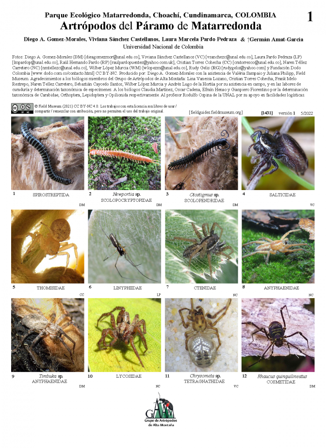  1431_colombia_arthropods_of_matarredonda.pdf 