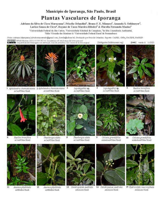 1441_brazil_vascular_plants_of_iporanga.pdf