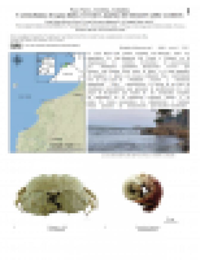 1443_colombia_carcinofauna_cordoba.pdf 