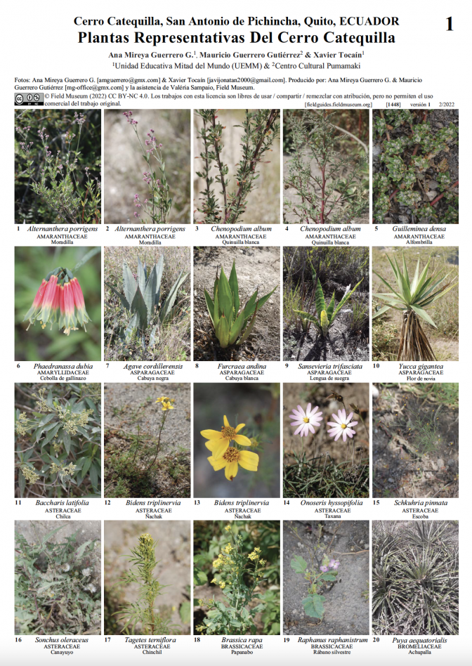 1448_ecuador_plantasrepresentativasdelcerrocatequilla.pdf