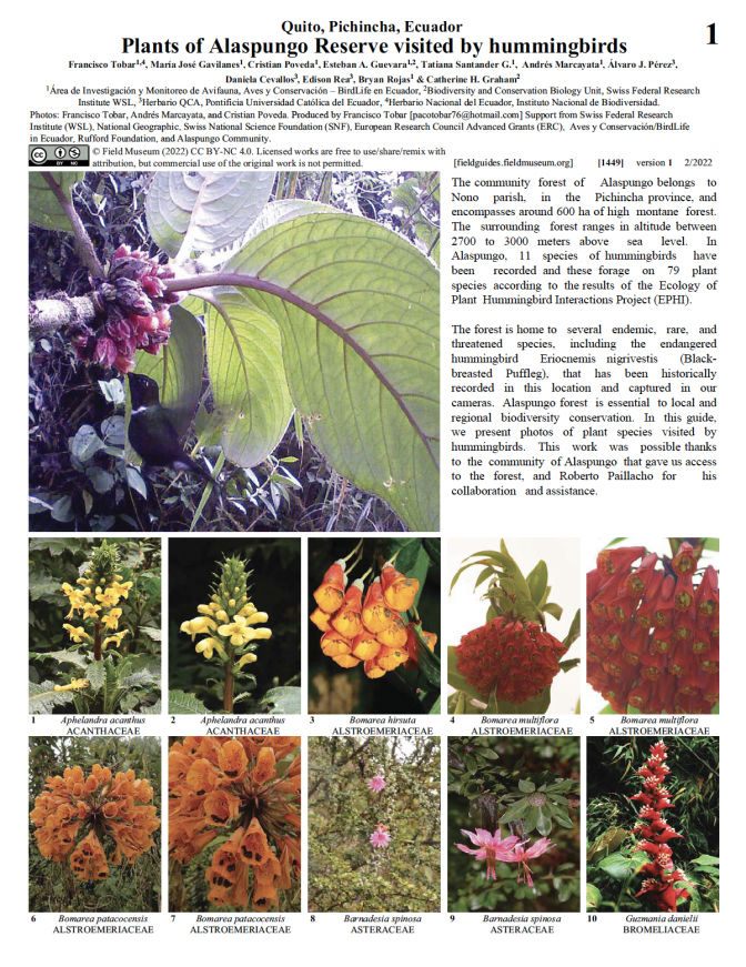 1449_ecuador_plants_alaspungoreserve_visitedhummingbirds.pdf