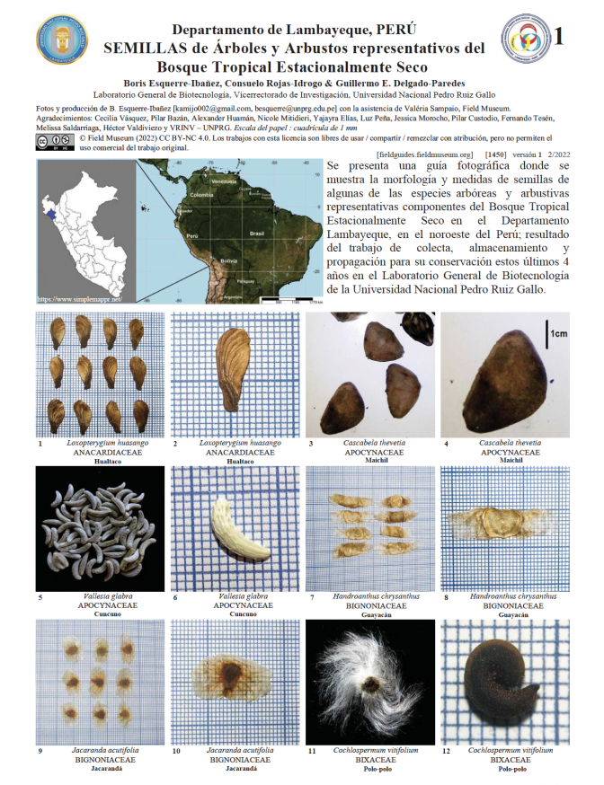 1450_peru_lambayeque_semillasdearbolesyarbustos.pdf