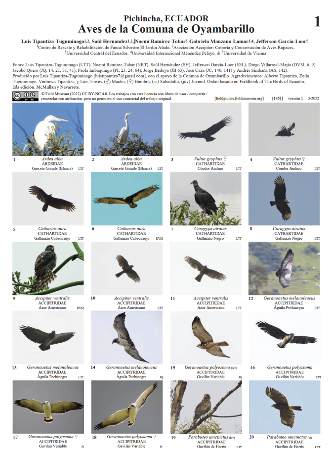 1451_ecuador_aves_de_la_comuna_de_oyambarillo_pichincha.pdf