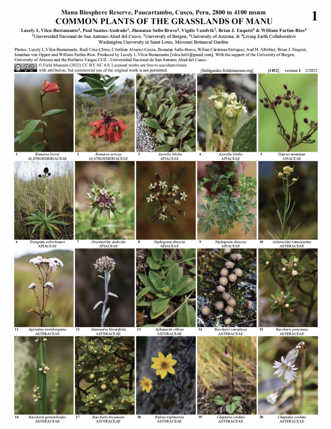 1452_peru_plants_grasslands_manu.pdf 