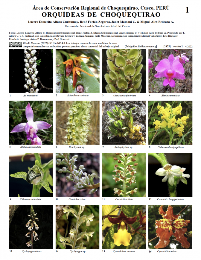 1455_peru_orquideas_choquequirao.pdf 
