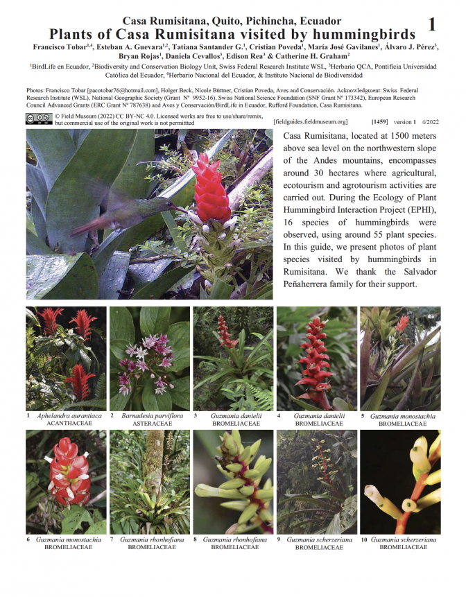 1459_ecuador_casa_rumisitana_hummingbird.pdf