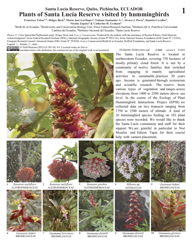 1460_ecuador_plants_santa_lucia_reserve_visited_hummingbirds.pdf