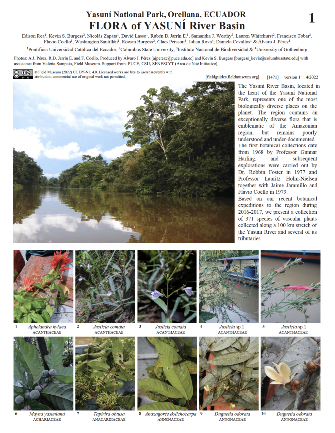 1471_ecuador_flora_of_yasuni_riverbasin.pdf