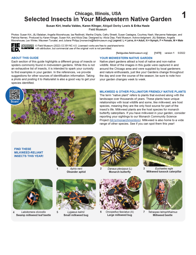 1475_usa_chicago_selectedinsects_midwestern_native_garden.pdf