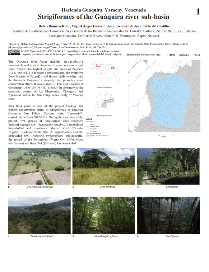 1480_venezuela_strigiformes_of_the_guaquira_river_sub-basin.pdf 