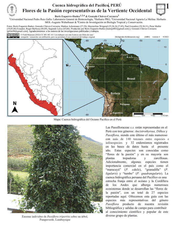 1481_peru_flores_pasion_vertiente_occidental.pdf