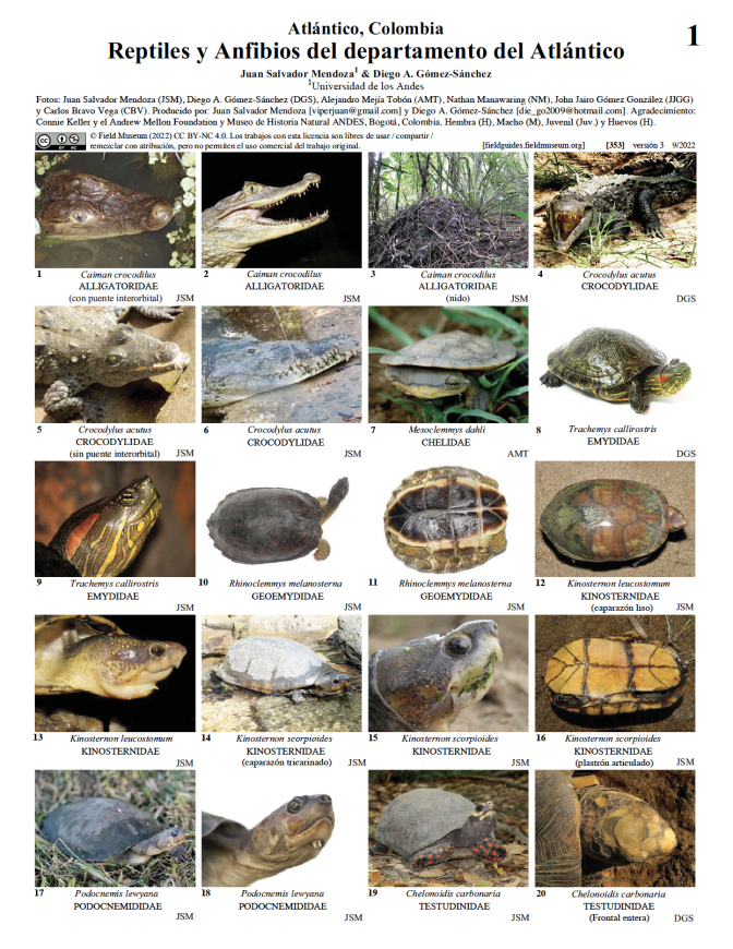 353_colombia_anfilbios_y_reptiles_del_atlantico.pdf
