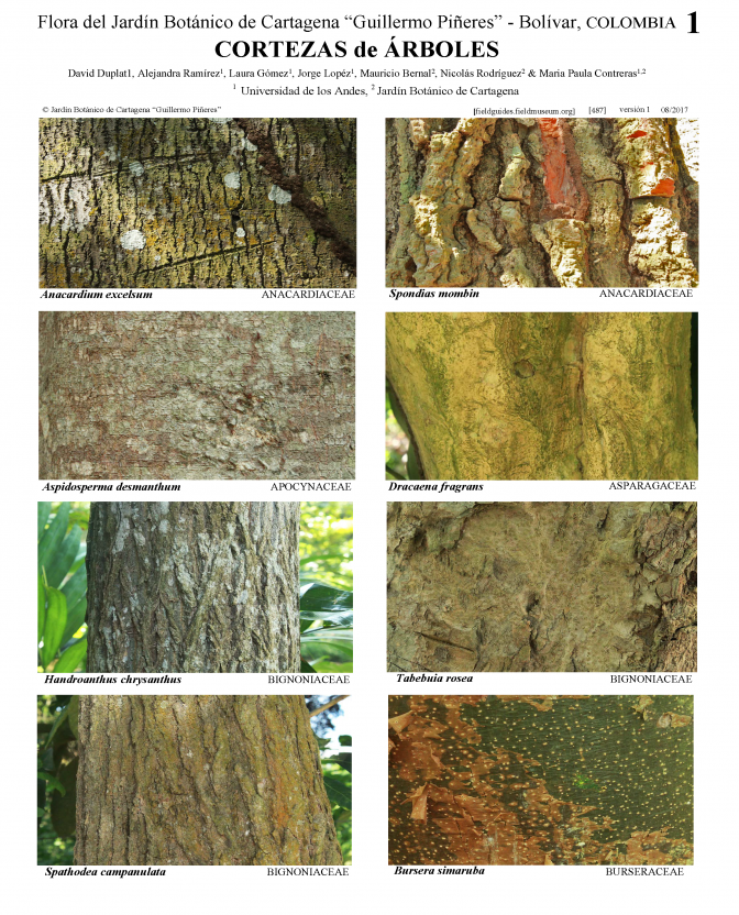  487_colombia_cortezas_del_jardin_de_cartagena.pdf