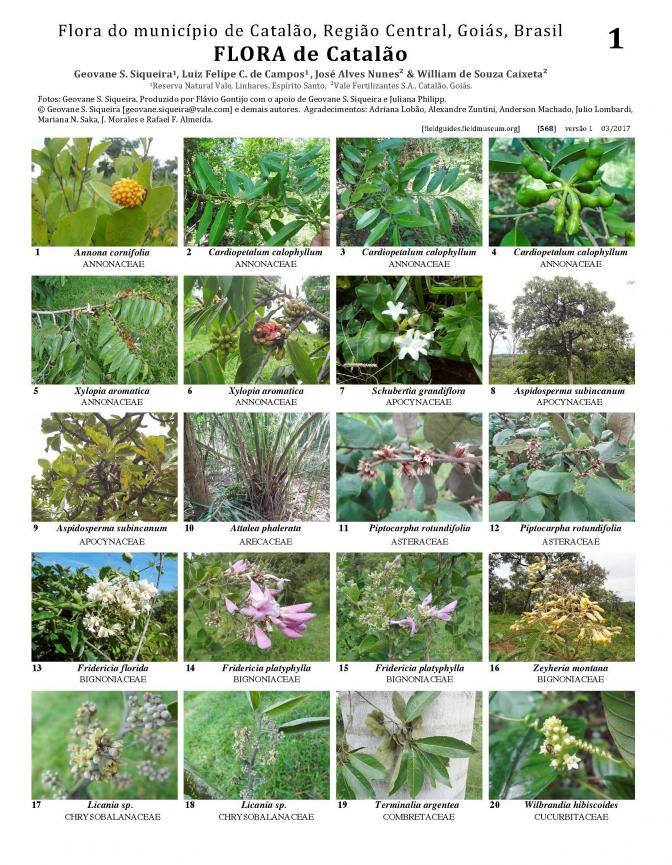 568_brazil_flora_de_catalao-goias.pdf