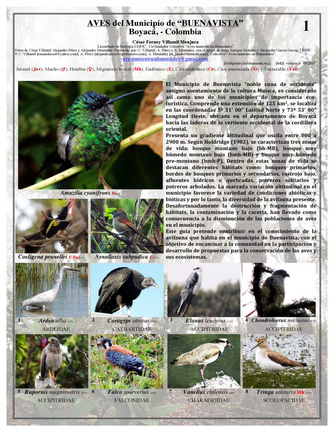 642_colombia_aves_de_buenavista_v3.pdf