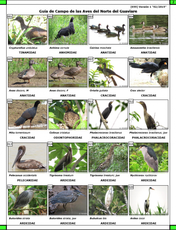 655_aves_del_guaviare.pdf