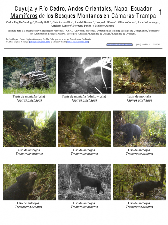 Napo -- Cuyuja and Río Cedro Mammals