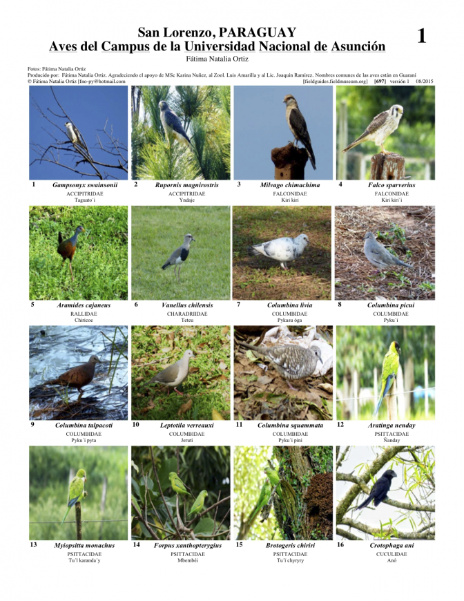 697_paraguay-aves_de_campus_a1.pdf