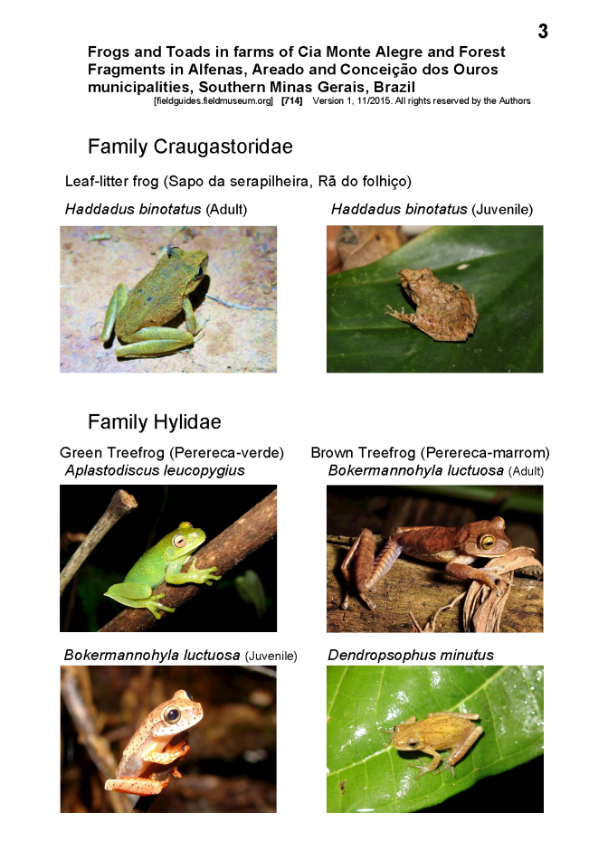 714_brazil-frogs_and_toads_in_farms.pdf 