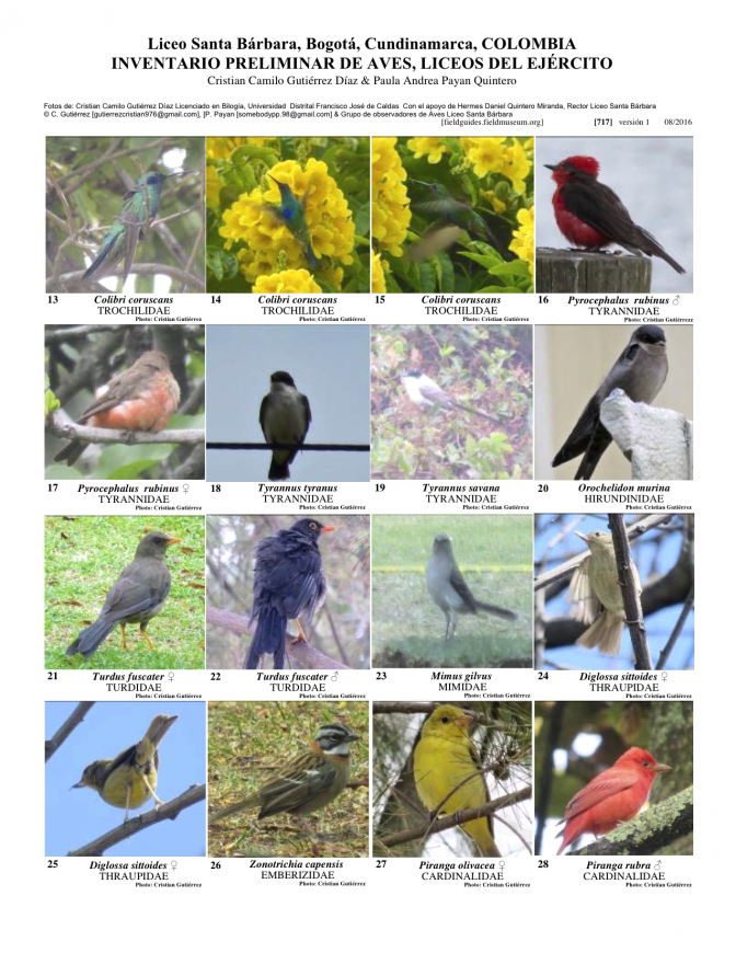 717_colombia_aves_de_liceos