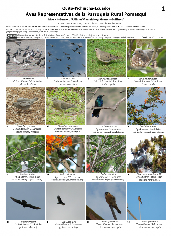  718_ecuador_aves_de_la_parroquia_rural_posmaqui.pdf