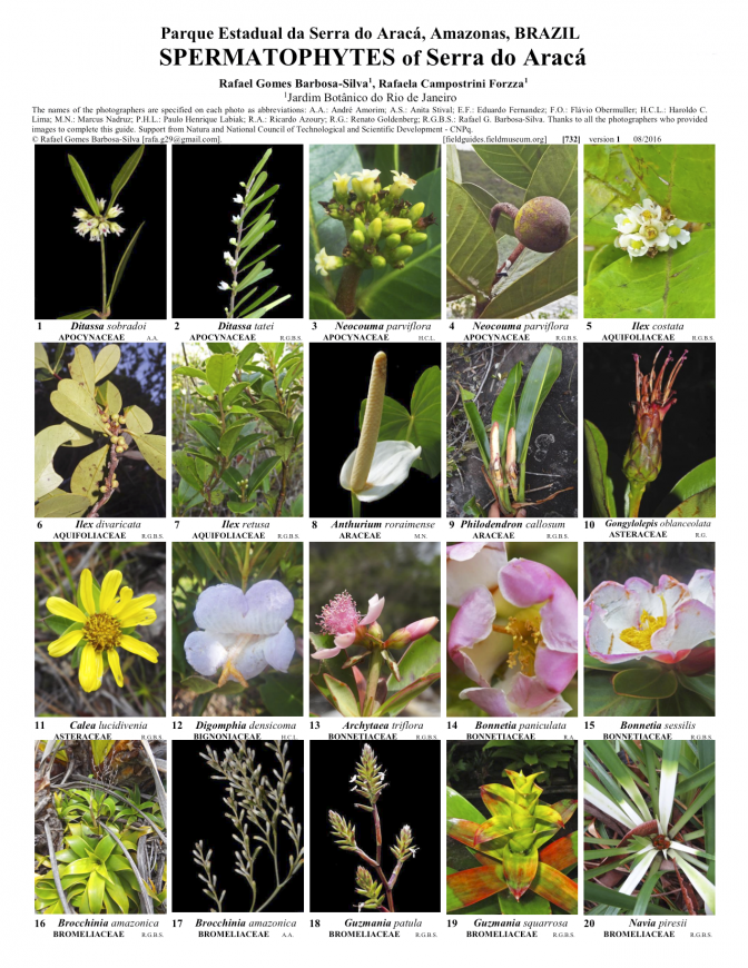 732_brazil-spermatophytes_of_serra_do_araca