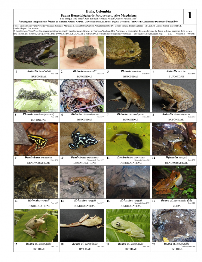 753_colombia_fauna_herpetologica_alto_magdalena_v2.pdf 