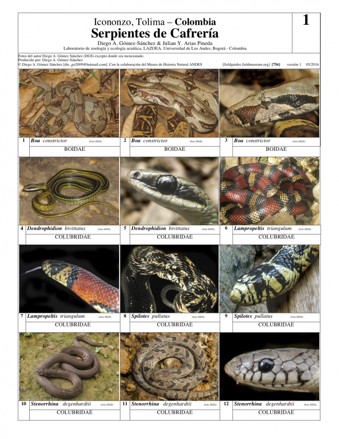  756_colombia_serpientes_de_cafreria.pdf 
