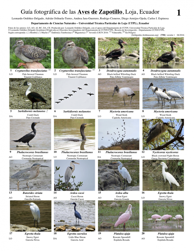 758_ecuador-aves_de_zapotillo.pdf 