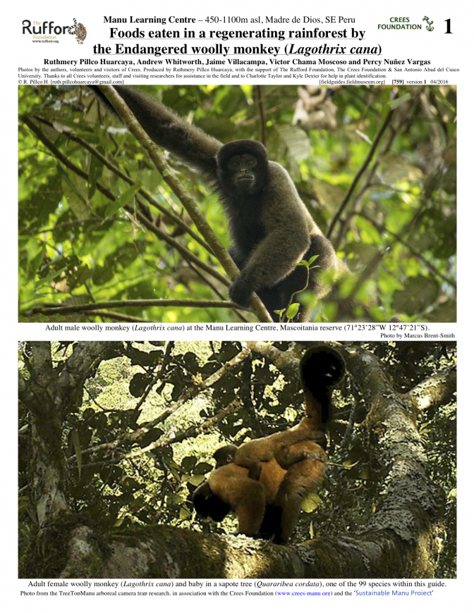 759_peru-foods_eaten_by_woolly_monkeys
