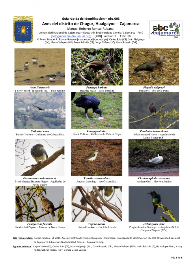 763_peru_aves_de_chugur.pdf