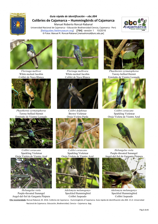 764_peru_colibries_de_cajamarca.pdf