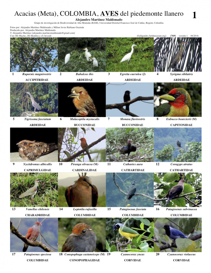 769_colombia_aves_del_piedemonte_llanero.pdf 